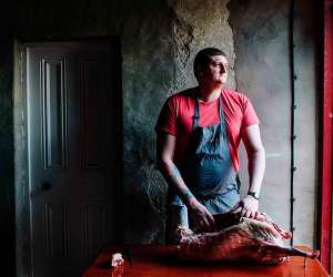 Gareth Ward, head chef at Ynyshir
