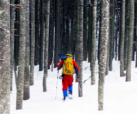 Snowshoeing holidays with Walk Japan