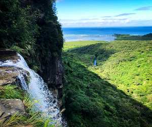 The unique landscape of Iriomote Island, Japan