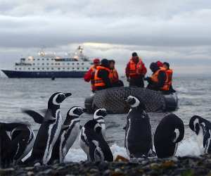 Approaching Magdalena Island in Chilean Patagonia