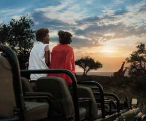 Spotting giraffe on safari in South Africa