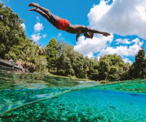Man diving in Florida