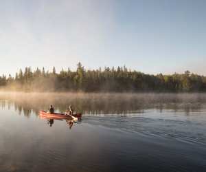 Natural landscapes in Algonquin Provincial Park