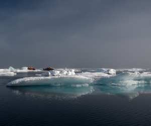 A cruise outing on zodiacs among an ice floe