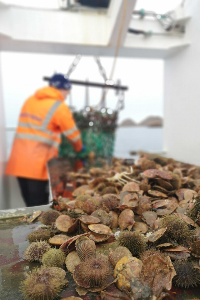 Best food holidays: scallop fishing in Iceland Best food holidays: scallop fishing in Iceland