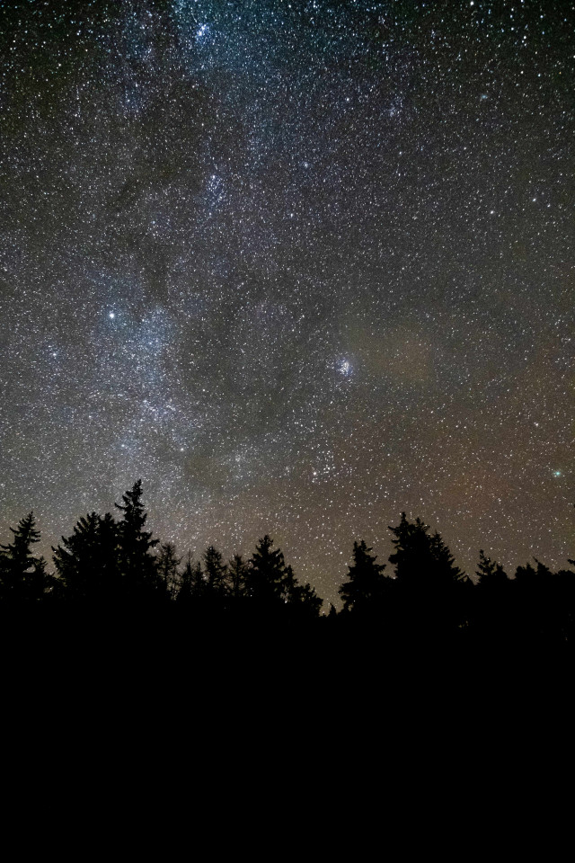 Dark skies within Galloway Forest Park, Scotland Dark skies within Galloway Forest Park, Scotland