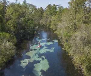 A woman stand-up paddleboarding in Weeki Wachee Springs