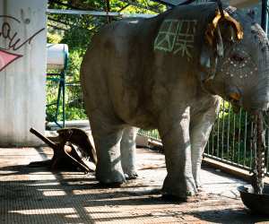 An elephant model in a derelict hotel near Tai She Wan Village in Hong Kong