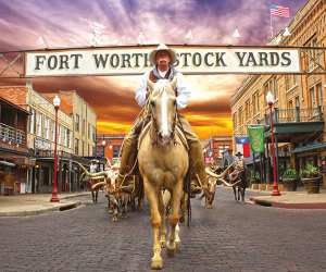 fort-worth_widget