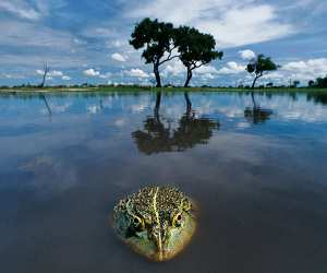 fo-lanting-okavango_featured