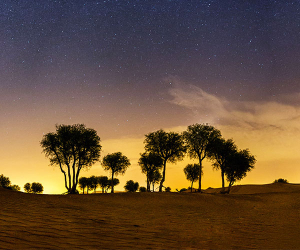 A desert Oasis near Dubai