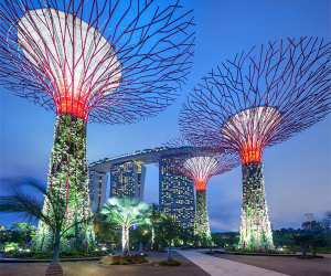 Gardens in the Bay, Singapore