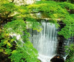 Nunobiki Falls, Kobe