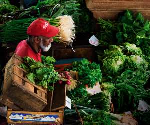 A veg delivery in Port Louis, Mauritius. Mike Robinson / Alamy Stock Photo