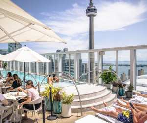 The rooftop pool at the Bisha hotel in Toronto