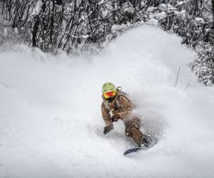 Threading the glades in Hakuba Valley