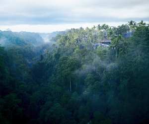 Hoshinoya Bali is perched above the sacred Pakerisan River Valley, which is fed by the holy springs of the Tirta Empul temple