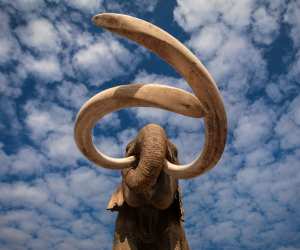 'When Mammoths Ruled the Earth'