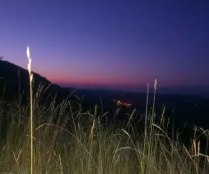 IMAG0604
