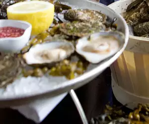 Galway-Native-Oysters