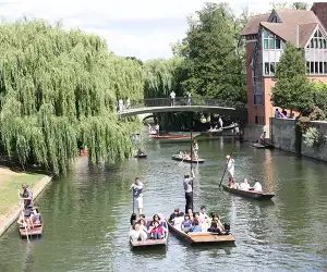 Punting in Cambridge