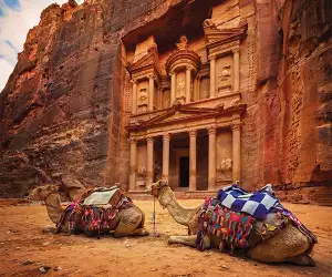 Camels outside the Treasury, Petra, Jordan