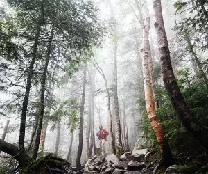 Foresting walking in the Pacific Northwest