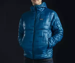 Patagonia Micro Puff jacket