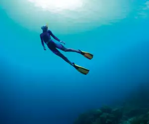 Free diving. Photograph by Dudarev Mikhail