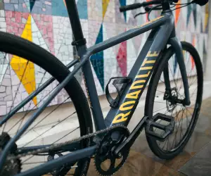 Canyon RoadLite:ON e-bike