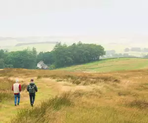 Galloway Forest Park, Scotland