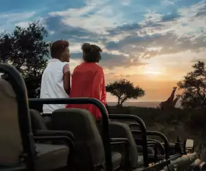 Spotting giraffe on safari in South Africa