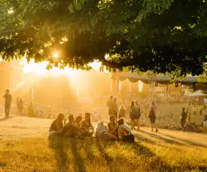 Wilderness festival