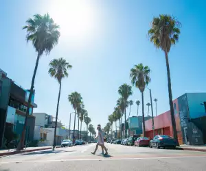 The streets of Abbott Kinney, Los Angeles