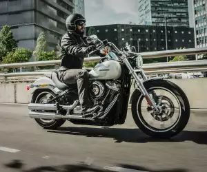 Man riding a Harley-Davidson