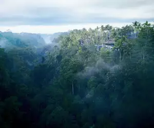 Hoshinoya Bali is perched above the sacred Pakerisan River Valley, which is fed by the holy springs of the Tirta Empul temple