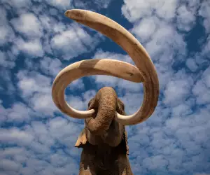 'When Mammoths Ruled the Earth'