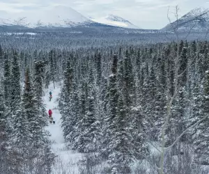 Dog sledding near Fish Lake in the Yukon Territory