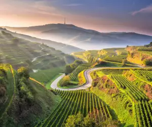 The Texaspass is a scenic mountain pass and popular viewpoint located in Vogtsburg im Kaiserstuhl in the Baden-Württemberg region of Germany