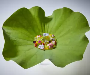 Gaggan in Bangkok, Thailand