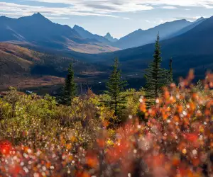 The Yukon