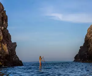Stand up paddle board